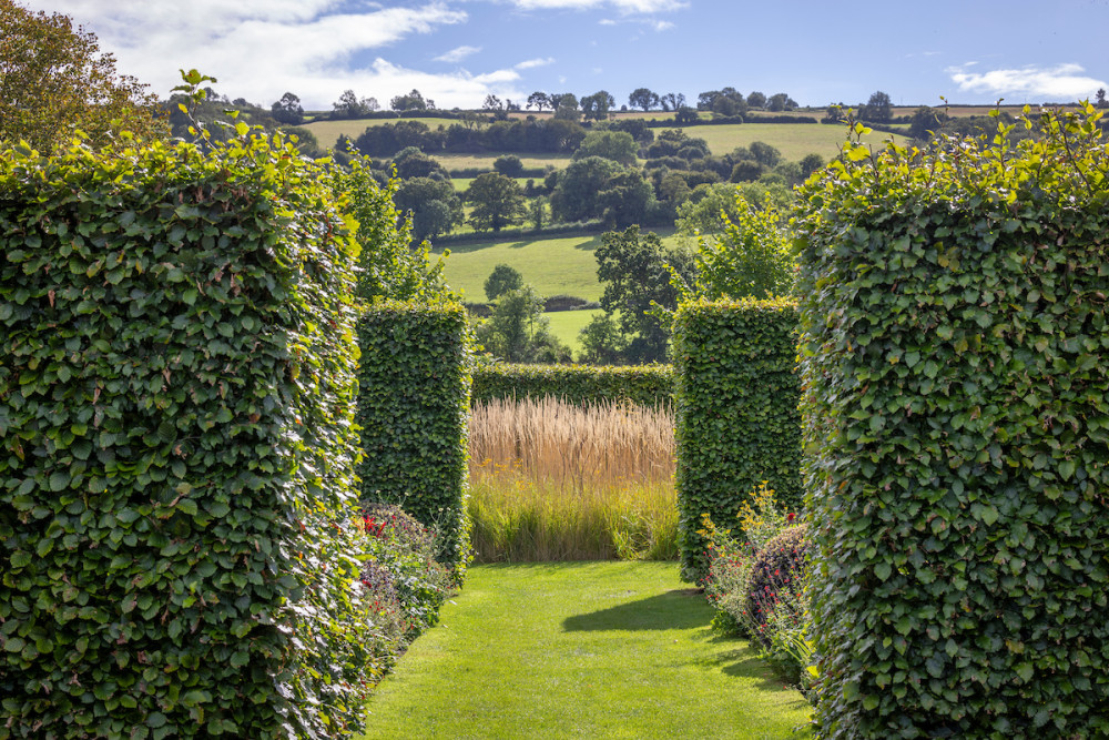 View through hedges towards the valley